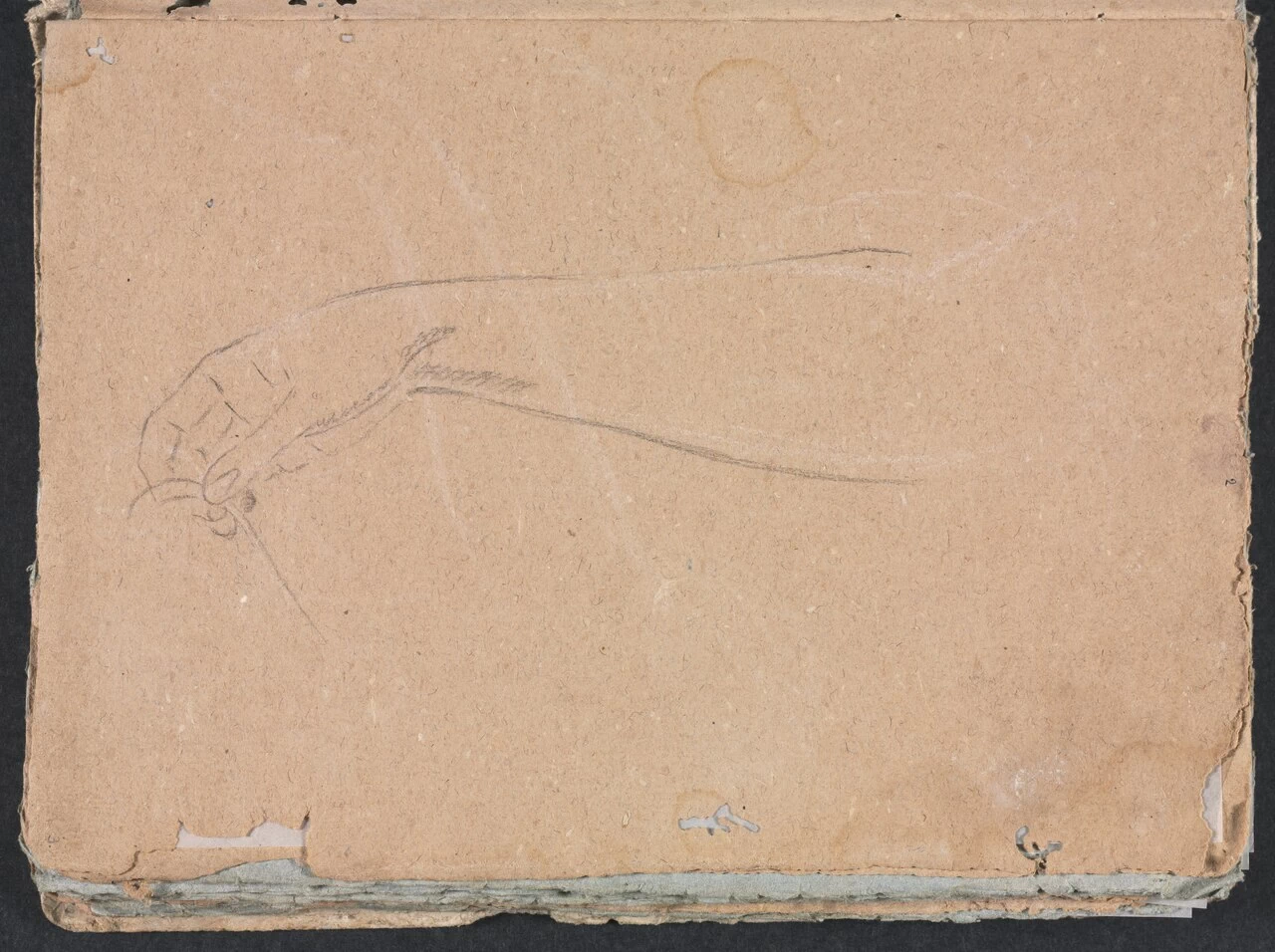 Braccio e mano destri - Cleveland Museum of Art 3